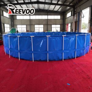Tanc de peix personalitzat