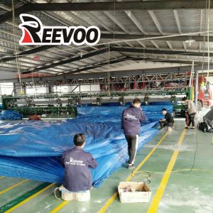 Tarps PE